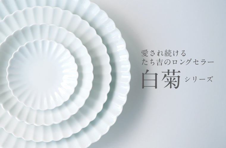 白菊シリーズ